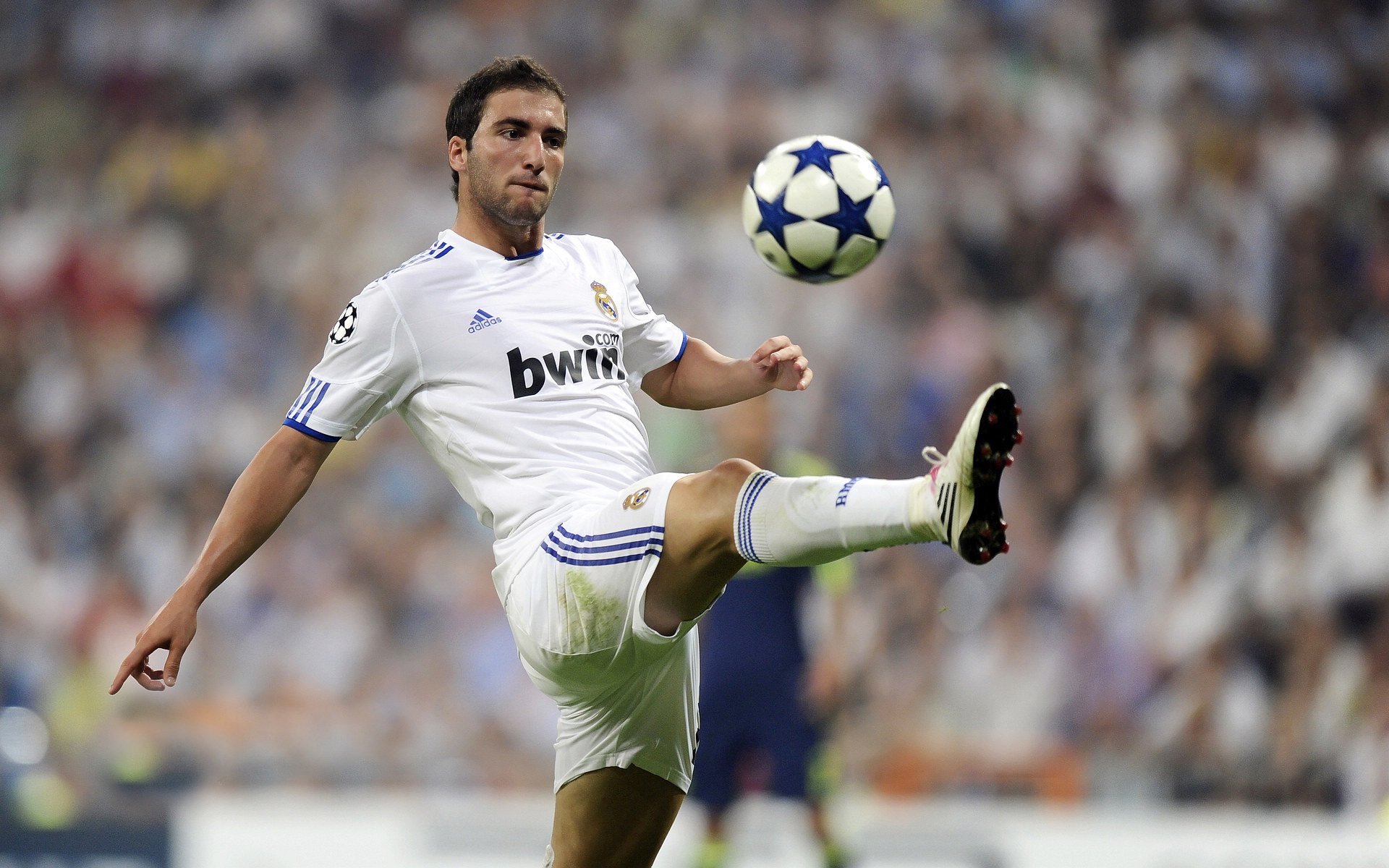 什么情况?蒙彼利埃冠军赛,国乒唯一被WTT处罚的,竟然是林高远,蒙彼利埃2012夺冠